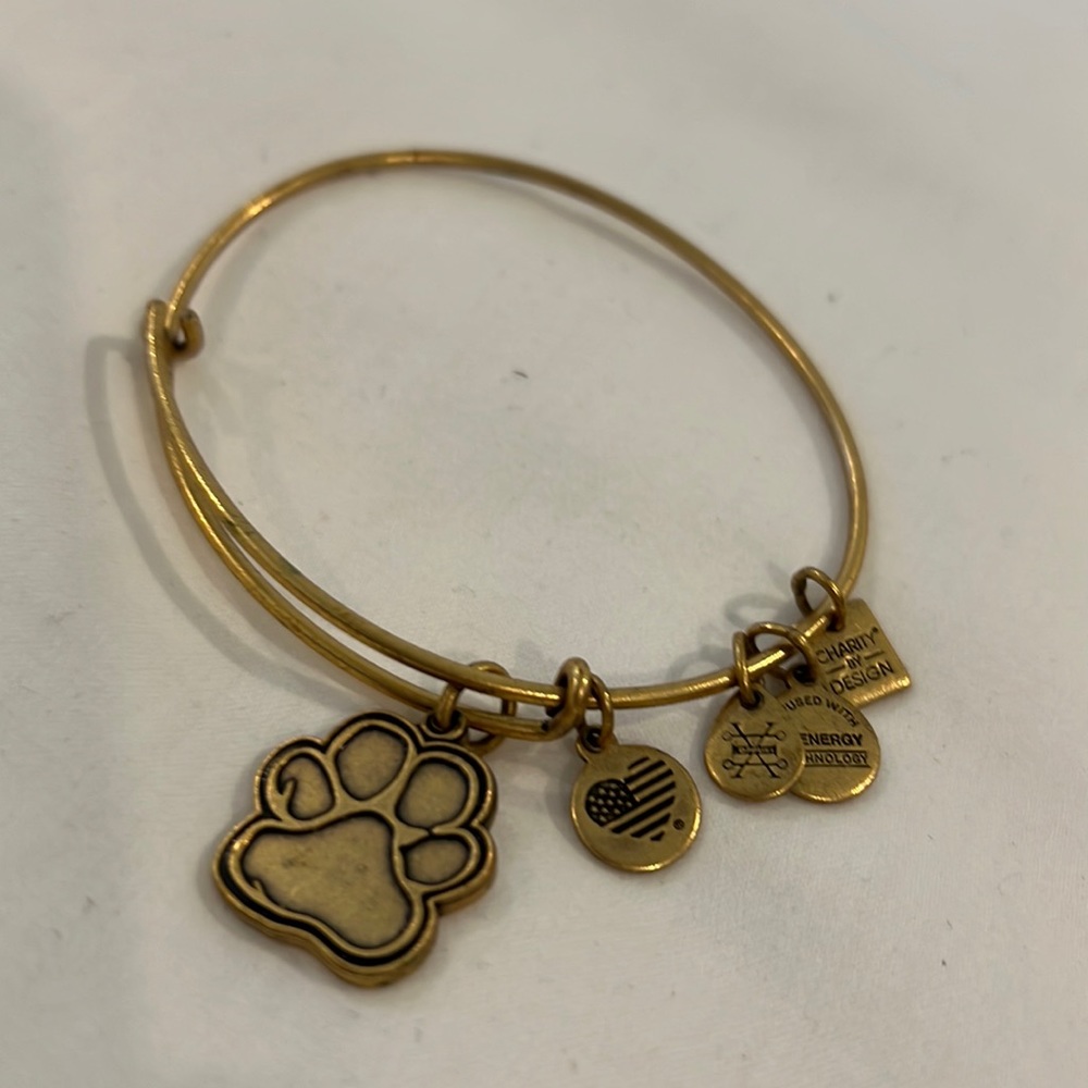 Alex and Ani dog paw bracelet